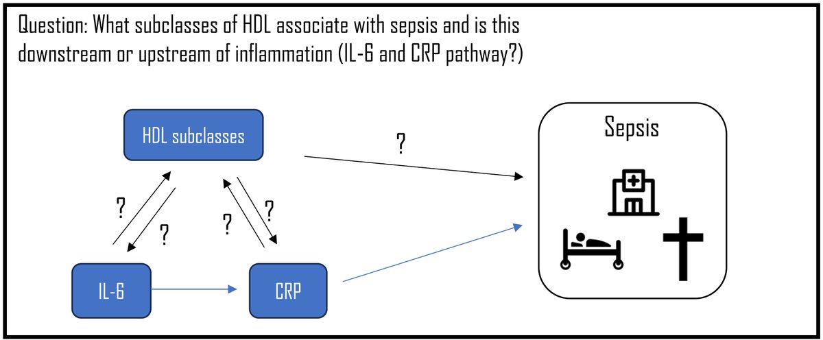Low number of small HDL confer increased hazard of sepsis, sepsis-related death, and sepsis-related critical care admission - genetic analyses did not strongly support this as causal; however, increased IL-6 signalling may explain part of the association ccforum.biomedcentral.com/articles/10.11…