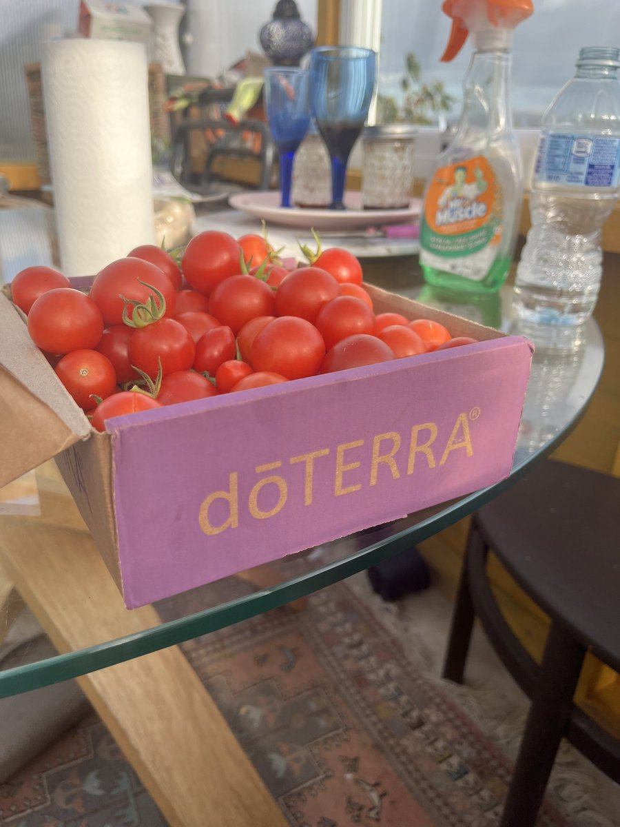 Dr. Gaele Macfarlane tweet media