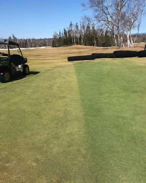 Nick Boyd tweet media