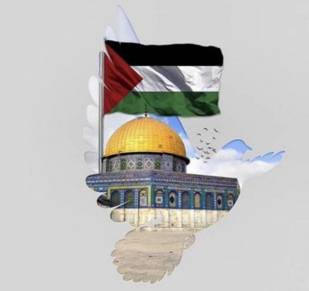 0oAfo20's tweet photo. اللهم استودعناك فلسطين ، أرضها وسماها، شبابها ونساءه�� وأطفالها، واحفظ اخواننا فيها بحفظك وأيدهم بنصرك، واكتب لهم الخير والأمن والعدل والعزة والسلام 🤲🏻#palastine #IsraelPalestineConflict https://t.co/lXt3pOtNLN