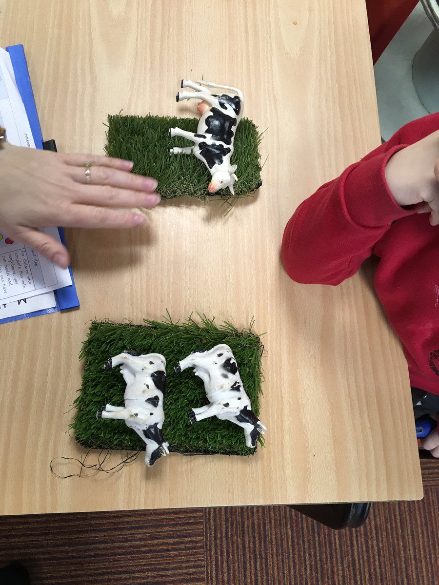 In maths, Reception children have been developing their knowledge of the number 3, they were discovering the different ways they can be placed in the 2 fields.  #guyhirnprimary #moreton #maths #practicalmaths #placevalue