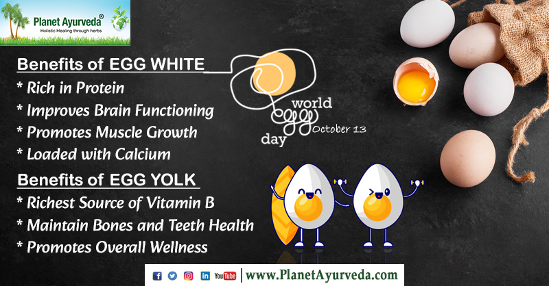 World Egg Day - October 13
#WorldEggDay #EggDay #Egg #Eggs #EggWhite #EggYolk #BenefitsOfEgg #EggBenefits #BenefitsOfEggWhite #EggWhiteBenefits #BenefitsOfEggYolk #EggYolkBenefits #RichSourceOfProtein #HealthyFood #HealthyDiet #EggsForHealth #EggForHealth