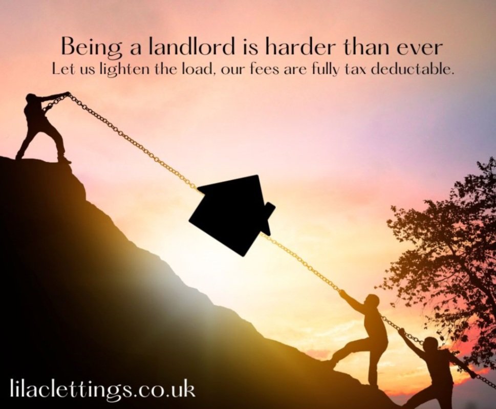 Lilac Lettings/Sales (@lilaclettings) on Twitter photo 