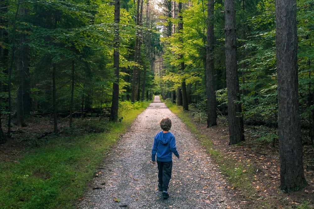 goMFT's tweet image. Located just a few miles south of #ReadingPA, you’ll find the 600-acre Nolde Forest Environmental Education Center. This area is one of four state parks to be designated an environmental education center. #Pennsylvania #OnlyInPA uncoveringpa.com/nolde-forest