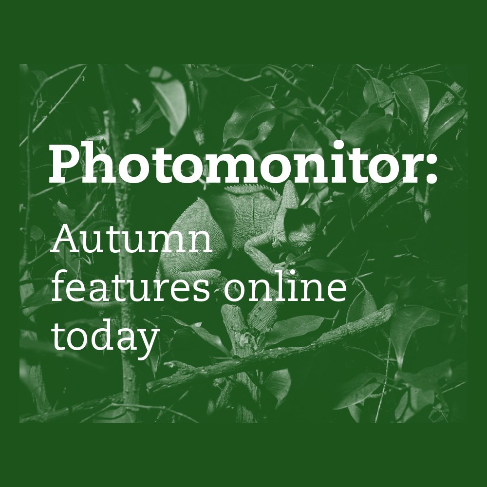 New features published online today in partnership with @UniCreativeArts UCA Farnham editorial team. photomonitor.co.uk with thanks to the artists and writers for their collaboration