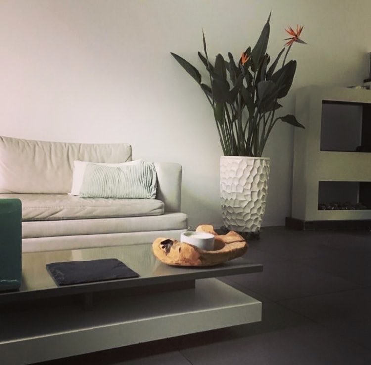 Een fijn weekend allemaal. 

Deze Strelitzia plant hebben wij verkocht. De exporteurs kopen ze volop bij ons. 

Fijn weekend!

#vrijdag