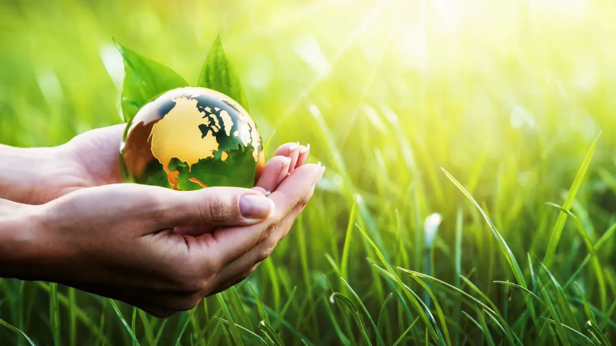 AGFirst (@AGFirstLtd) / Posts / X