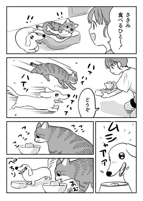 犬の葛藤