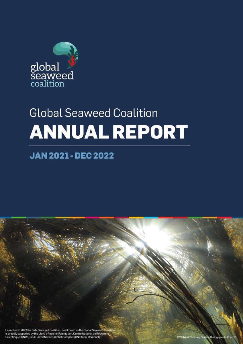 Global Seaweed Coalition tweet media