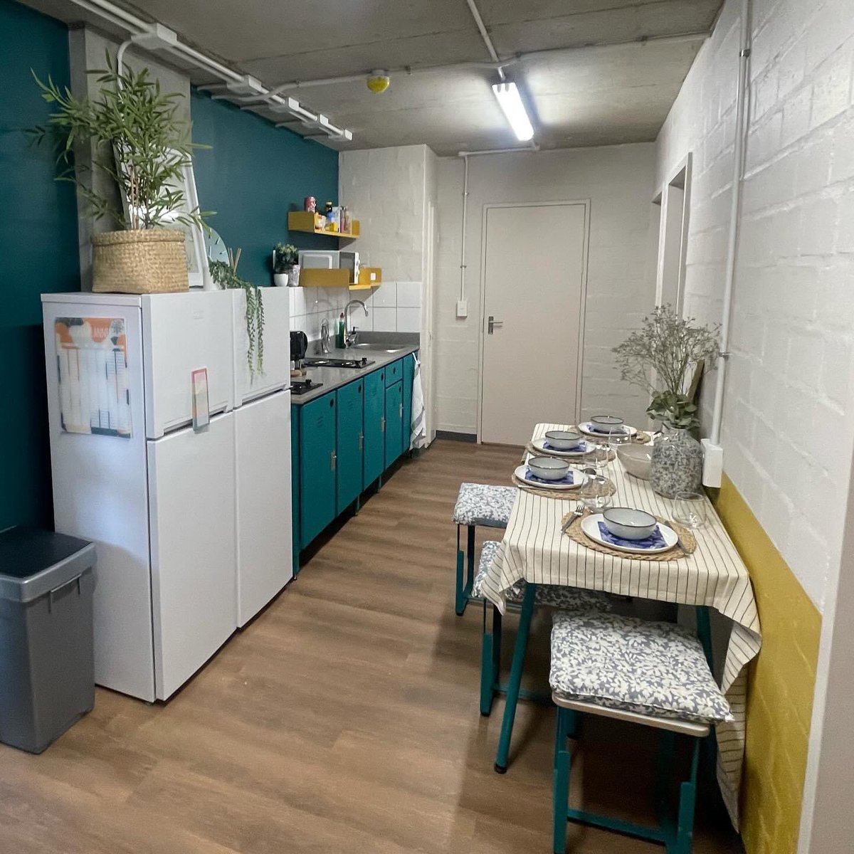 DigsConnect.com tweet media