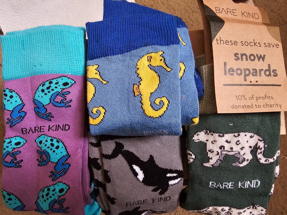 Nikki Nisbet tweet media