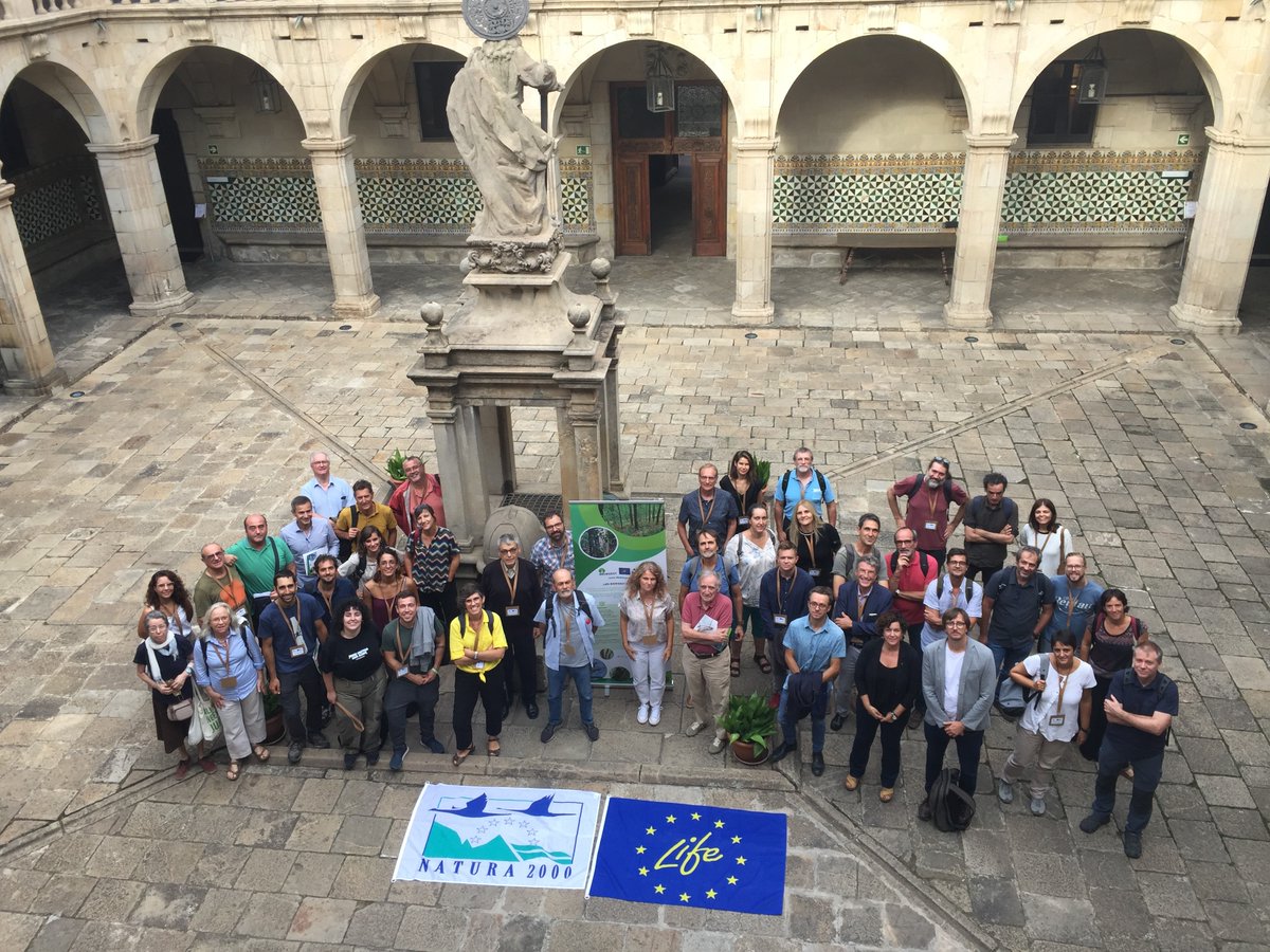 🌳🌲🐦La gestió #forestal sostenible és clau per a la millora de la  #biodiversitat.  

Acaba el <a href="/LifeBiorgest/">LifeBiorgest</a>, que ha desenvolupat eines, instruments i directrius de fàcil aplicació, a l’abast de la propietat i els gestors forestals.

🆕Al blog del #CTFC, tuit.cat/PGdTB