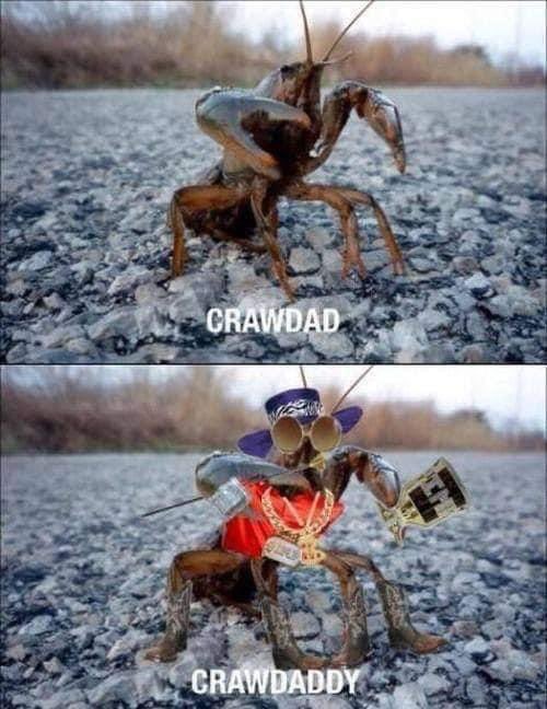 ITSsupply's tweet photo. #fridayfunny https://t.co/tENevGSLvu