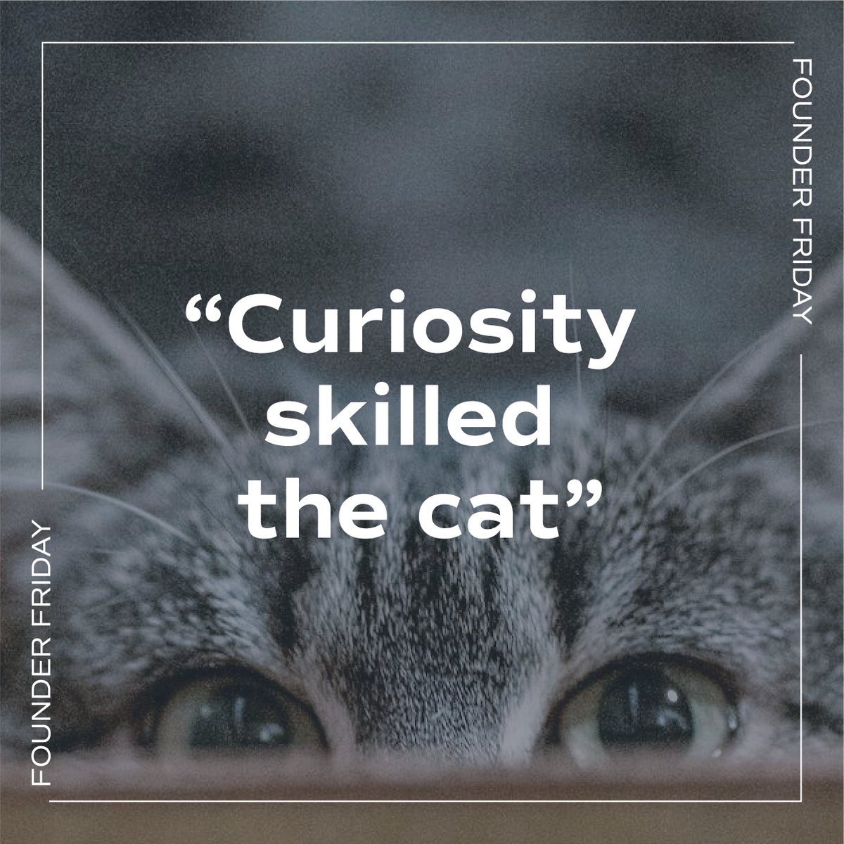 Sense_Sana's tweet photo. LEVELLING UP | How do you embody agility and adaptive resilience?

1/2 We are concluding our reflections on curiosity with this super insight and learning from Prof. Rija on future-relevant leadership. https://t.co/YGk8ZctAPw