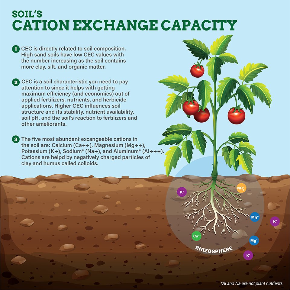 montysplantfood's tweet photo. CEC is the measurement of the soil’s ability to hold nutrients in the soil. Monty’s Humics increase the holding capacity of nutrients and water regardless of your soil’s CEC.
https://t.co/GUeOzm2BsX
#humictechnology #soilhealth #humicsleader #nutrientsolutions https://t.co/9YXCjNDMf5