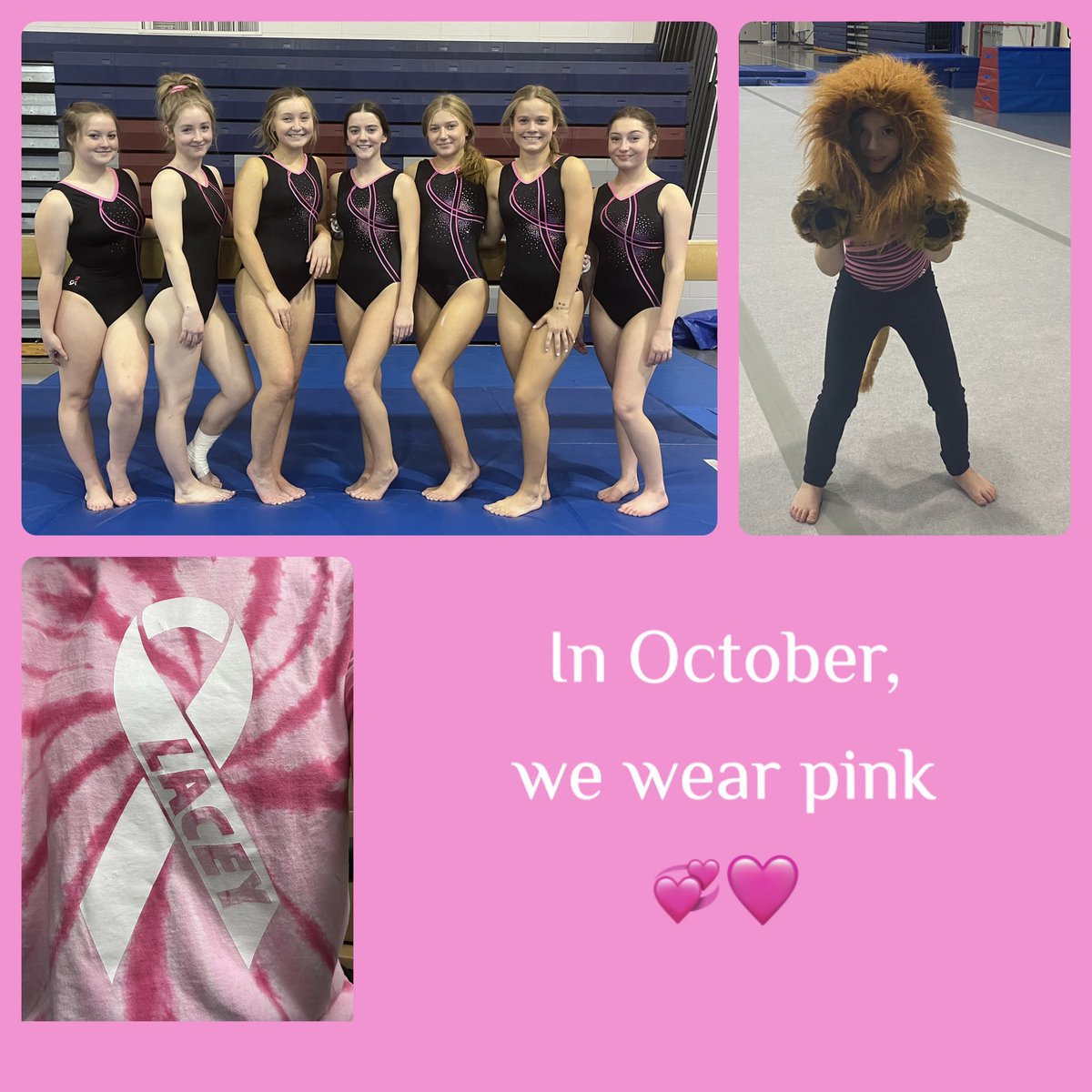 LTHS Gymnastics tweet media