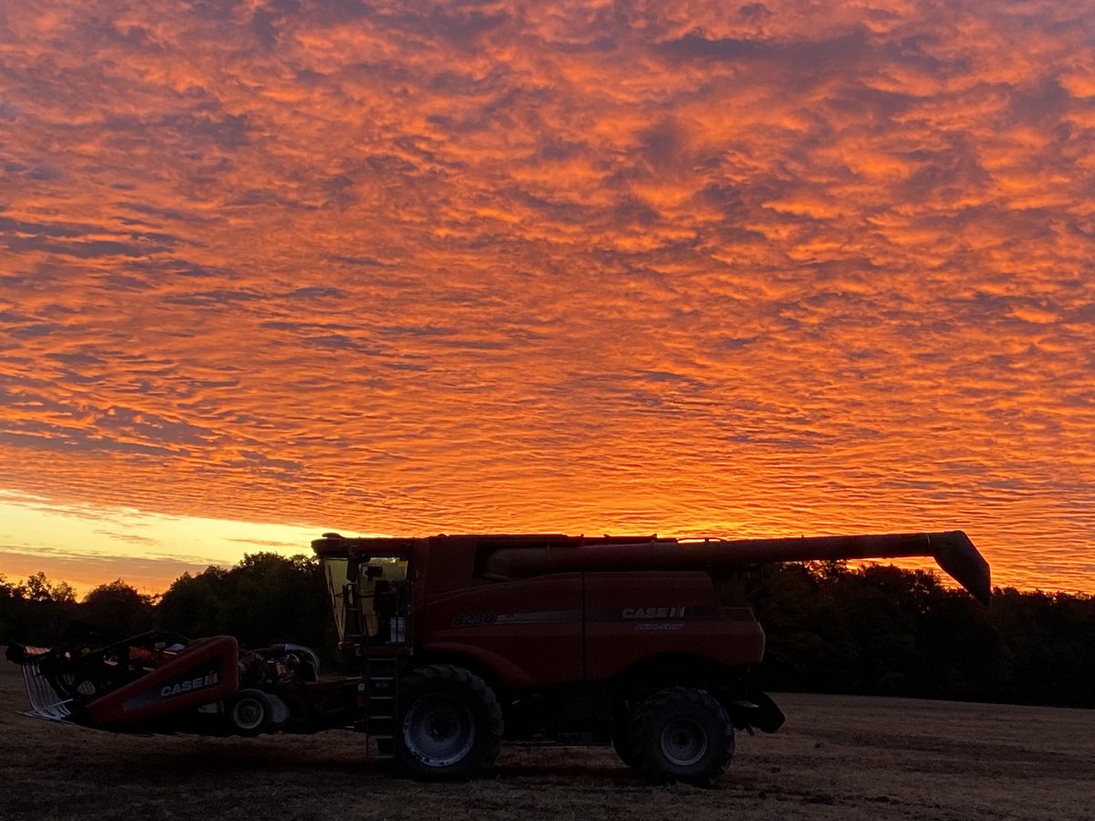 I feel like it’s going to be a good day!