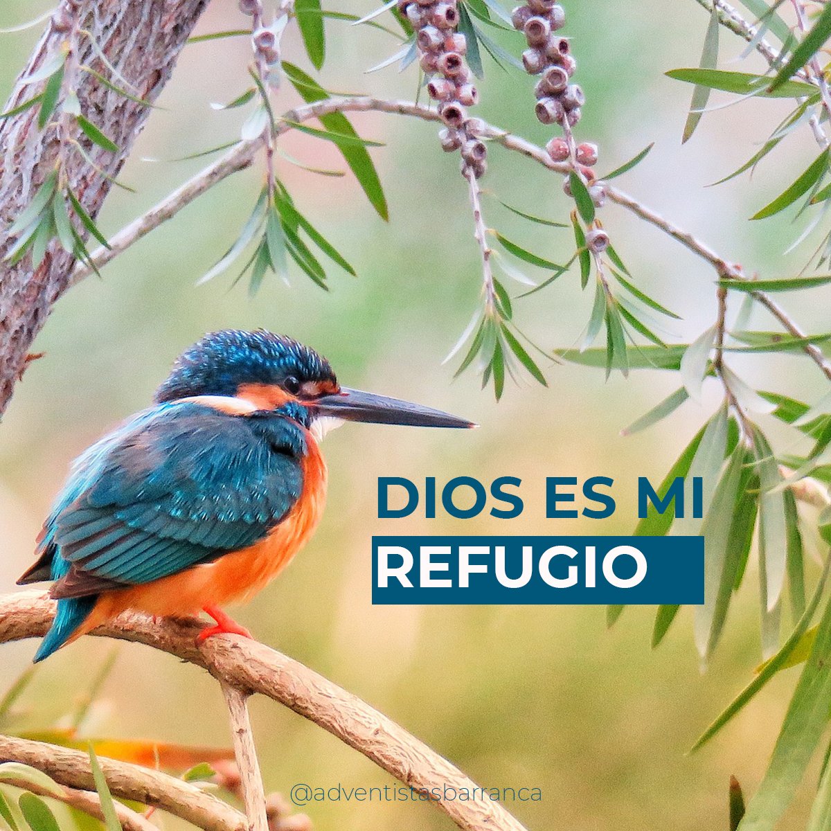 JuanTerrones9's tweet photo. Proverbios 10 | Nos enseña la importancia de vivir de acuerdo a la sabiduría y la justicia, y ofrece consejos prácticos para cultivar una vida virtuosa y plena. 📷

#PrimeroDios https://t.co/12FRV1I644