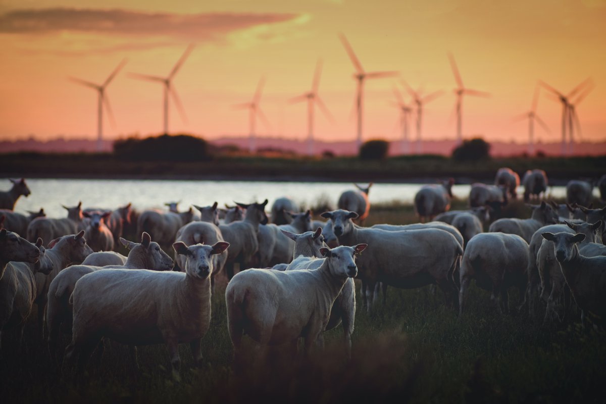 CESouthNRG's tweet photo. Are you interested in your community owning a wind turbine and decarbonising the grid? We are excited to announce our new event: Wind Energy for Local People, which we are hosting online on Wednesday, the 19th of October.  

If you haven't already, signup 
https://t.co/CpVTFxEDq3 https://t.co/PlrOrLw0Mv