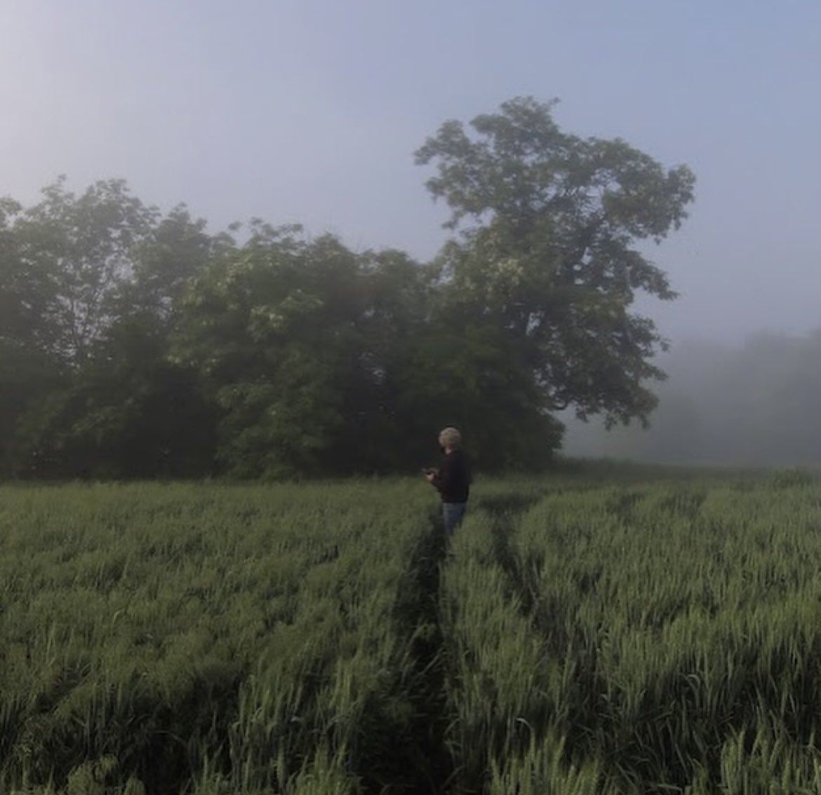 Late gm #nftfam

We have really special day in our community. Today we will present very important exposition in our hometown- Mykolaiv ❤️ 

Curator <a href="/humilevskyi/">GIANT Artem Humilevskyi🇺🇦</a> 
Project manager <a href="/melnitchenkosv/">Sergey Melnitchenko</a> 
Designer <a href="/savkadesign/">SAVKA 🇺🇦</a> 

Supported by 
<a href="/goetheinstitut/">goetheinstitut</a>