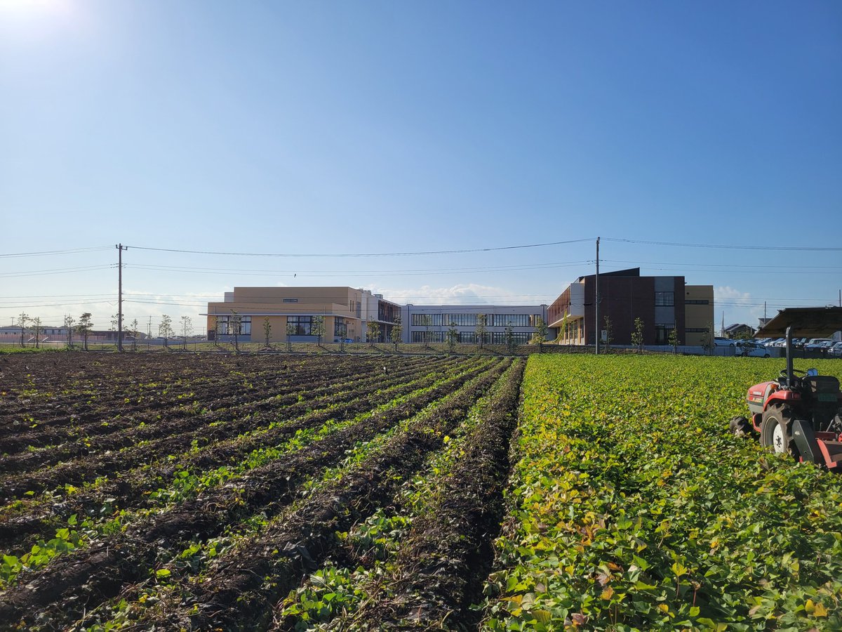 収穫作業が始まって1ヶ月。
ちょうど折り返し地点。
もう少し頑張ります。

写真は美乃浜学園。