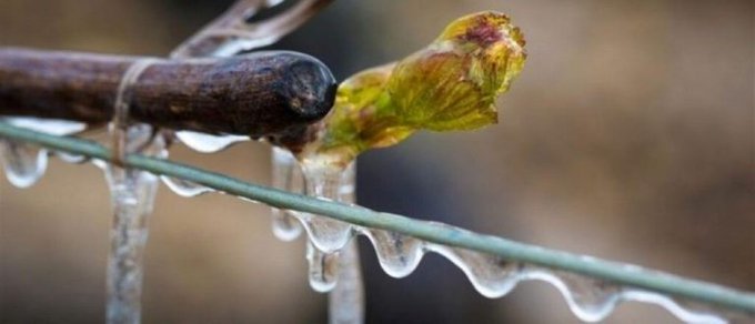 #GestiónAgrícola #Mendoza         
¡Atención contratistas de viñas y frutales! Mañana 14/10 es el último día para adherirse al #SeguroAgrícola ingresando en acortar.link/RLzDdV ¡No se queden afuera!