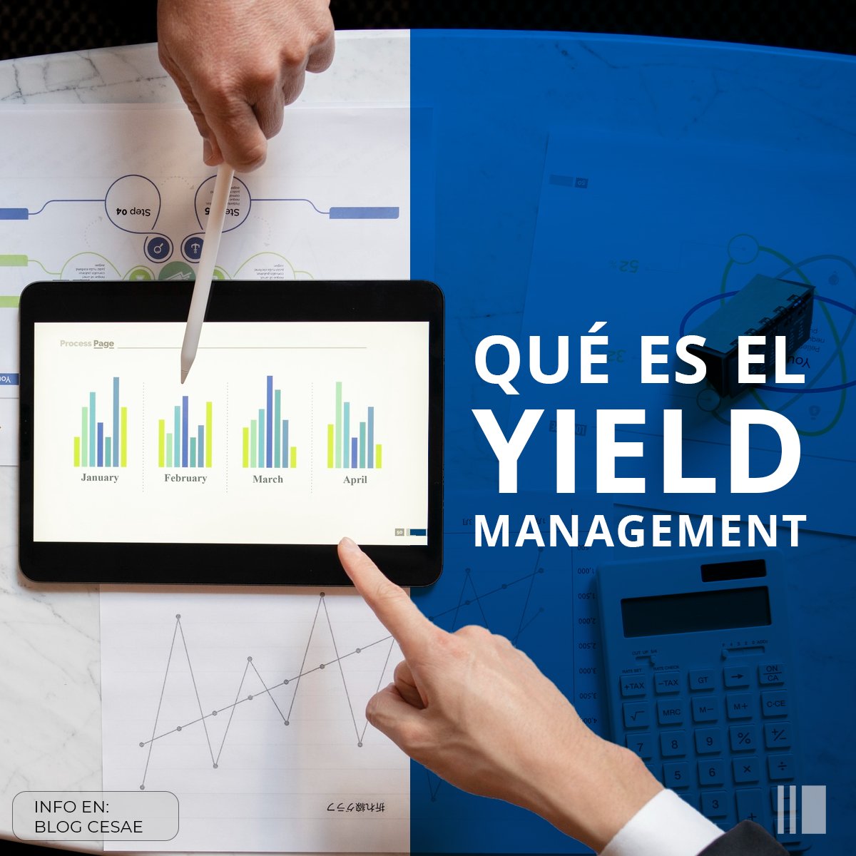 cesaeformacion tweet media