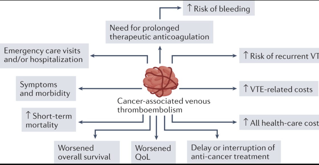 Today on #worldthrombosisday #WTDay23 @thrombosisday important to recognize the devastating consequences of thromboembolism on people with cancer @isth @StopTheClot