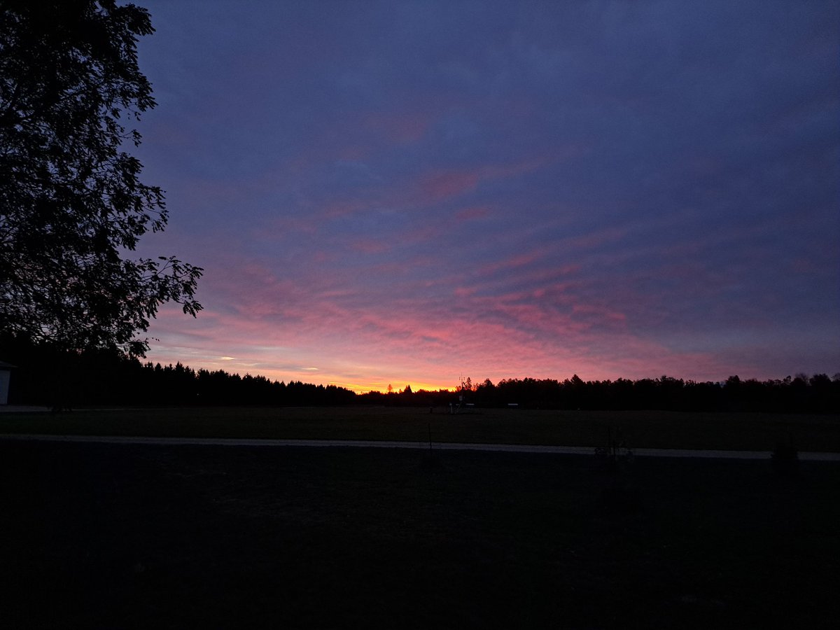 yooperforestry's tweet image. Good morning from the @MSUAgBio Forestry Innovation  Center.