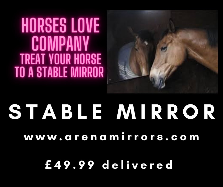 Mirrors for Training (@mirrors4trainin) on Twitter photo 