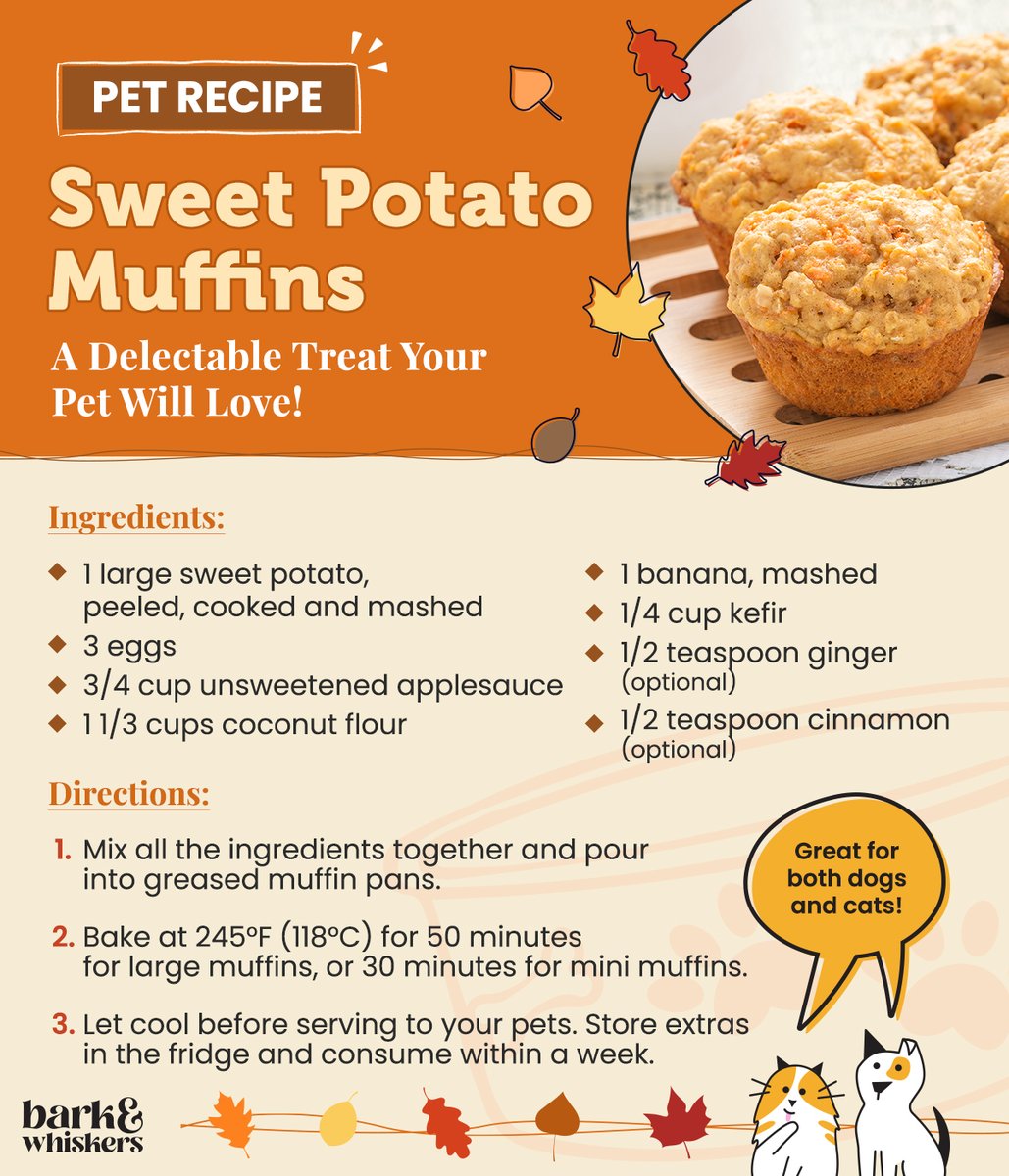 bark_whiskers's tweet photo. The new season 🍁 calls for a new pet treat 😉! Here’s the perfect snack to treat your pet this Autumn. 😋
#PetTreat #PetRecipe #PetSnack #HealthyRecipe #HealthyTreat #DogTreat #CatTreat #DogRecipe #CatRecipe #DogsOfTwitter #CatsOfTwitter #Pet https://t.co/xwPrvrzwP6