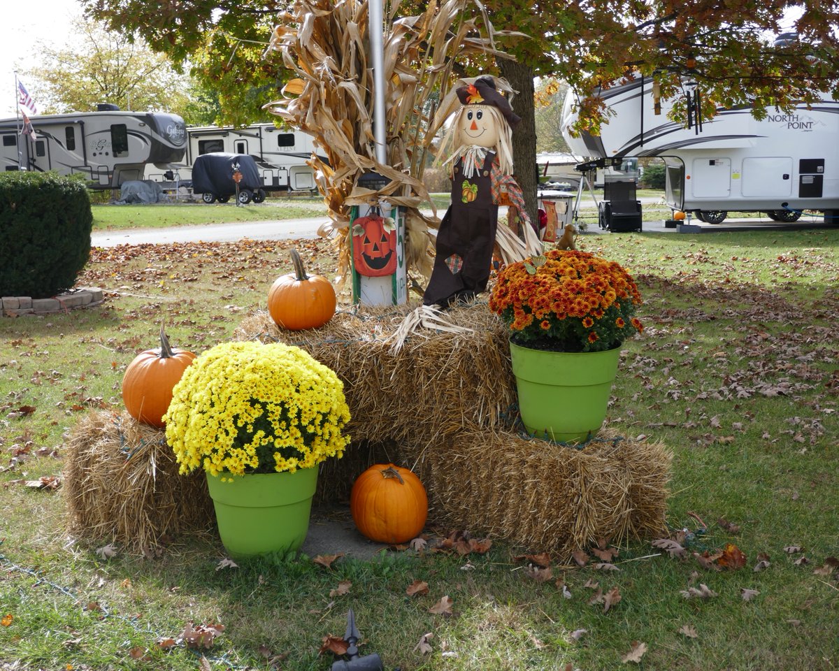NaturalSprings1's tweet photo. It’s Friday the 13th! If you are coming to visit us for our Halloween weekend, make sure to bring your (extra spooky) costume and check out all of the amazing Halloween decor! These are some of our favorite weekends of the year! https://t.co/xaHXk4UGFn