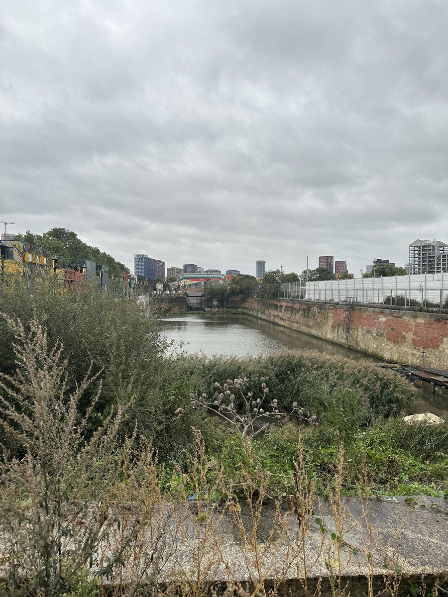 Invigorating & inspiring to be shown round @CodyDock to learn about green social prescribing and nature based interventions 🍃 .

A place where nature thrives, heritage is restored & people are connecting with the natural world.

Will be back for beer 🍺 & bats 🦇! #CodyDock