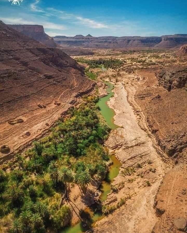 alyassohil's tweet photo. الجنوب التونسي 🐫🇹🇳 https://t.co/ec7PXiAoKl