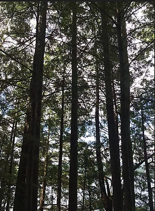 3octaves's tweet photo. Happy #swlm day! This was the day of the setting of the #jamesBond thriller set in the #adirondacks , The Spy Who Loved Me. #ianFleming #FridayFeeling #Friday13th #FridayThe13th https://t.co/7sIZGU1KFH