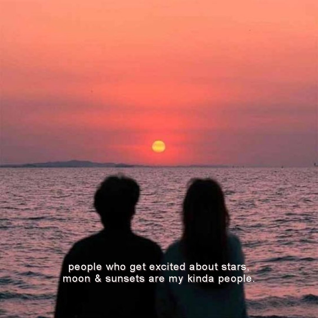 Novelle art. tweet media