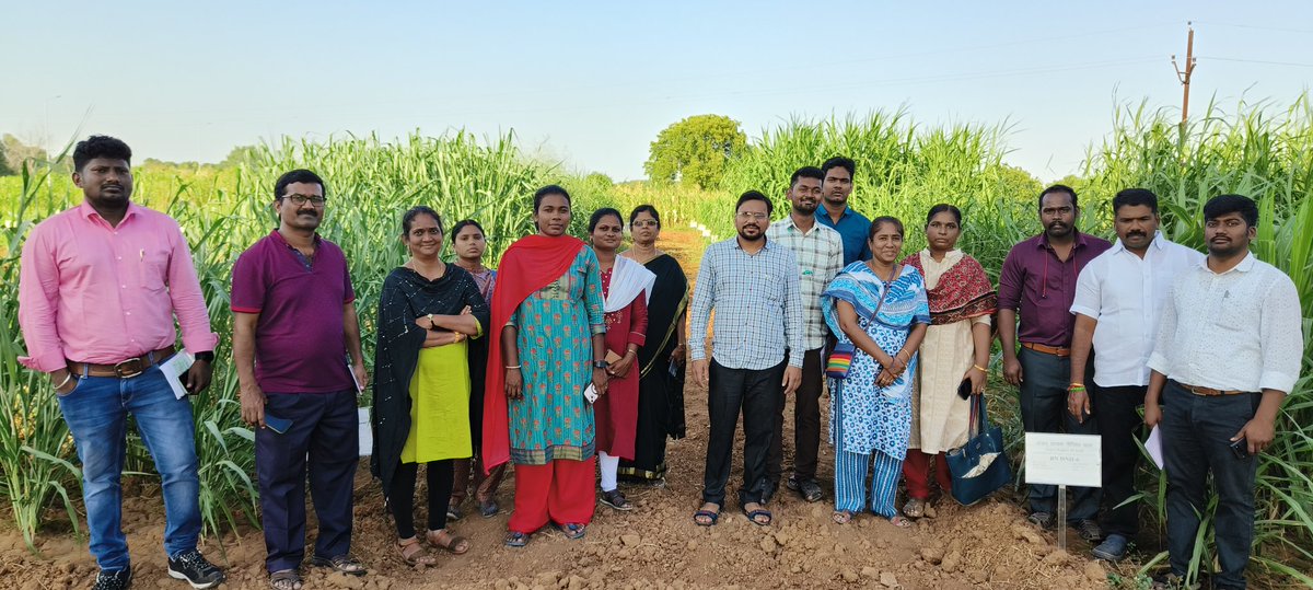 ICAR - IGFRI, Jhansi tweet media