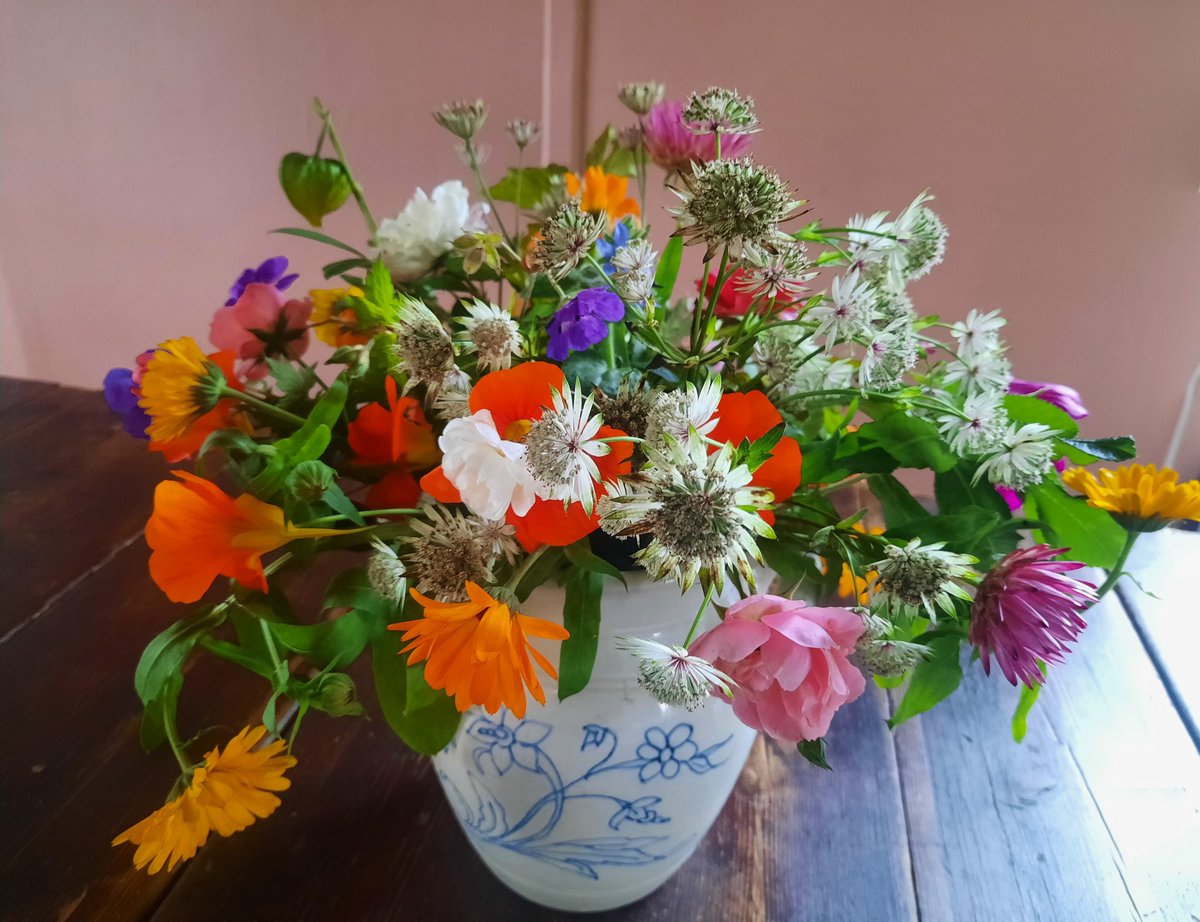 Agneta Blomqvist tweet media