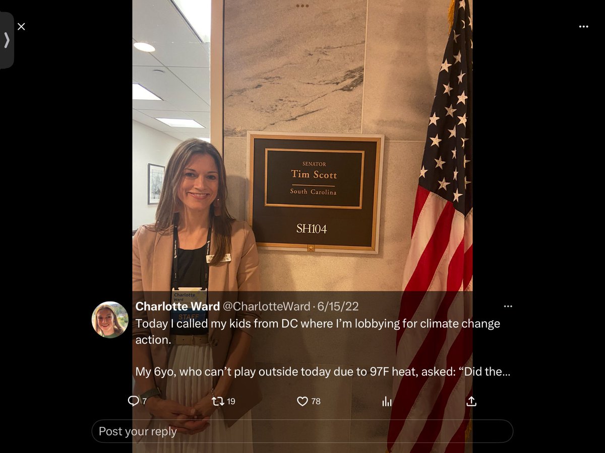 Lady Liberty tweet media
