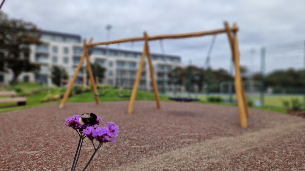 KOMPANIRELAND's tweet photo. 👍Installed in a Dublin Housing Development this Robinia playgrounds fits perfectly with the surrounding area 
🌲 Robinia is a strong and durable timber making it ideal for play equipment
💻 Learn more on https://t.co/q755mfXNZd https://t.co/05VPRFTYwe