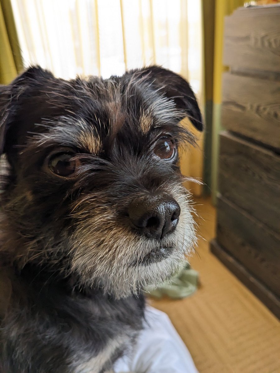 mp3.lovecraft tweet media