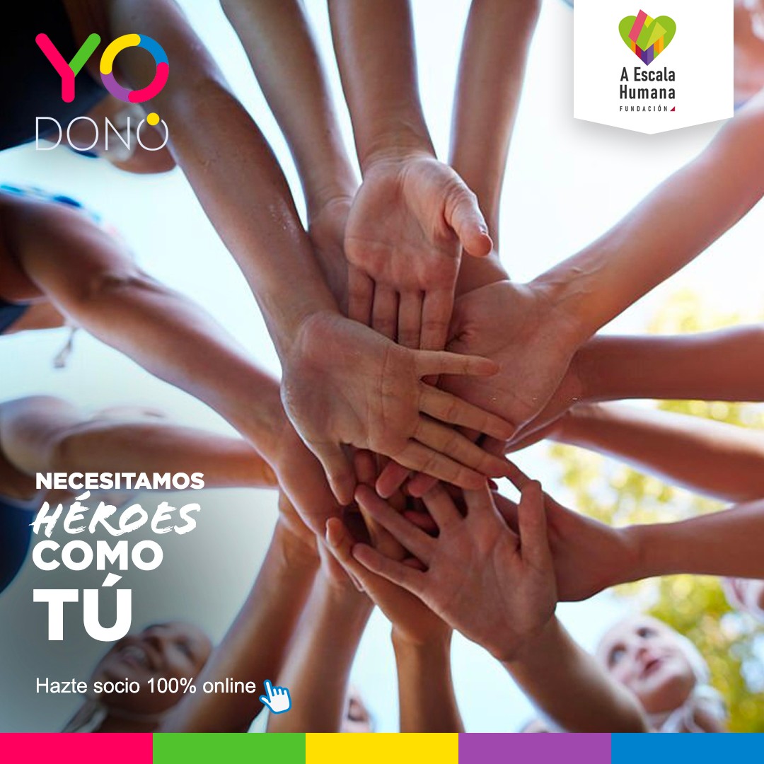 YoDono tweet media
