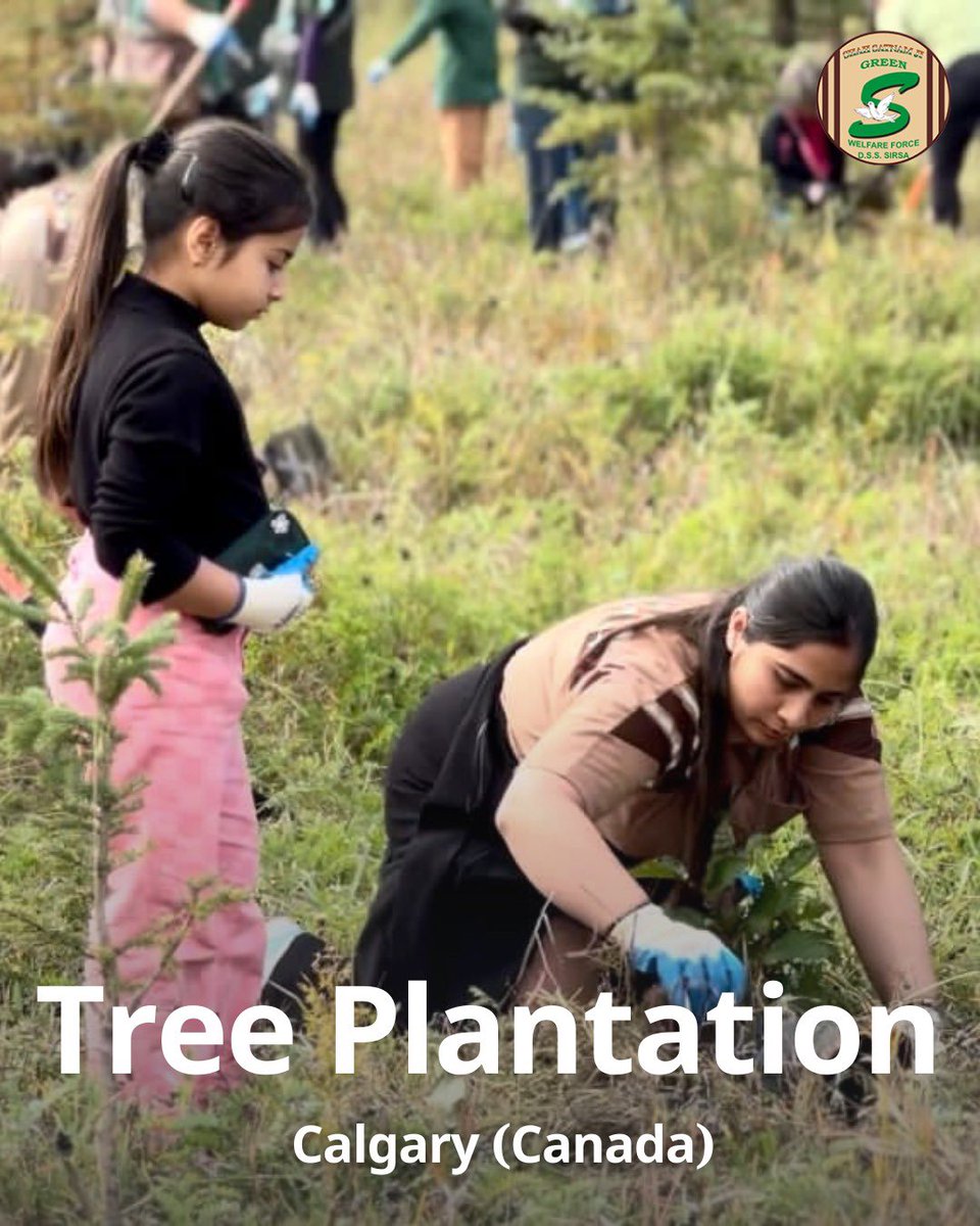 GreenSwelfares's tweet photo. Shah Satnam Ji Green S Welfare Force Wing volunteers in Calgary, Canada 🇨🇦 are making efforts for a greener future!🌱 Their dedication to tree planting is an inspiration for all. Let's continue to nurture and protect our environment for a sustainable future.  #TreePlantation #Environment #DeraSachaSauda