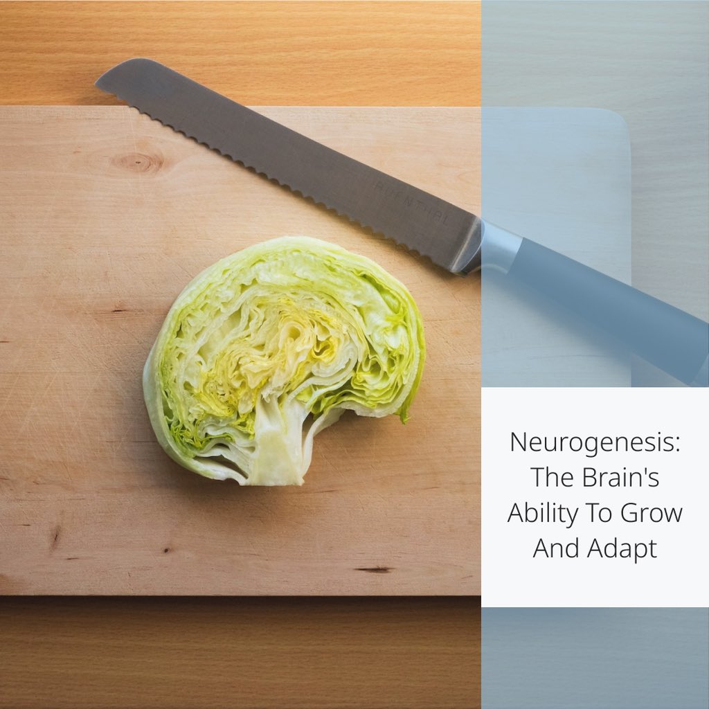 HelibrainCom's tweet photo. 🧠 Your brain evolves daily! Discover the magic of #Neurogenesis and how choices from food to rest impact brain growth. 
Dive in and learn to nourish your mind: https://t.co/xC574XeGzq 💡🥦 

#Helibrain #BrainHealth #Adaptability https://t.co/Ps8Pf8NWP0