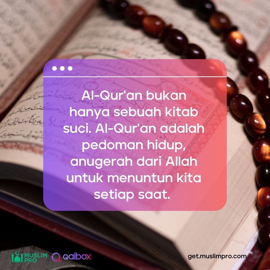 Jadikanlah hikmah Al-Qur'an sebagai kompas kita, karena di dalam ayat-ayatnya terdapat petunjuk ilahi untuk membimbing perjalanan hidup. 📜🌟 #muslimpro #qalbox #alquran #katamutiara #motivasiislami