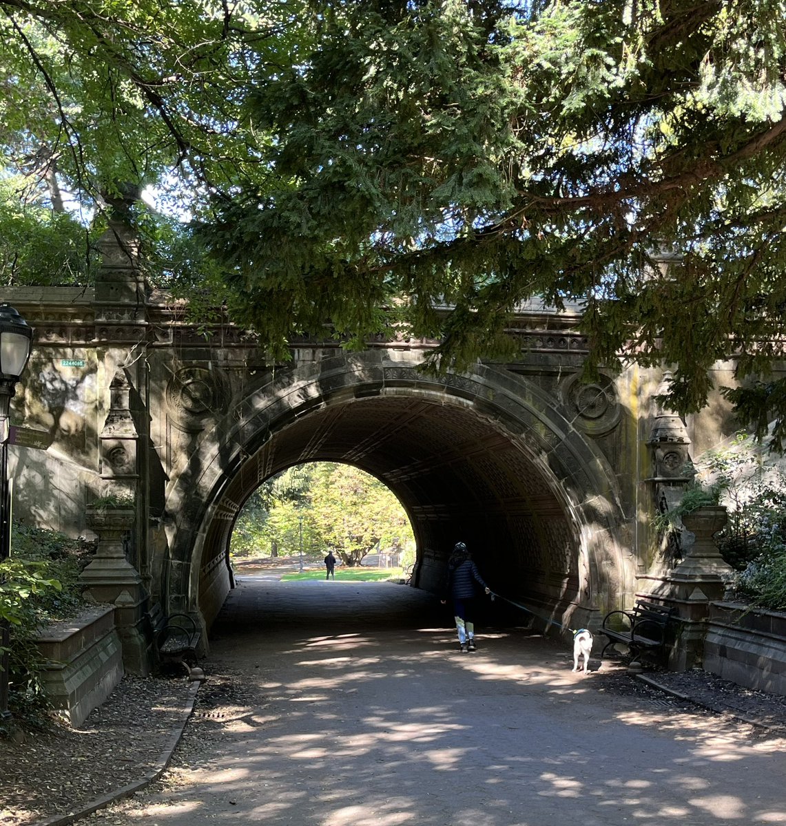 HillThalisAUP's tweet photo. Everyone knows how expansive &amp; superb Central Park is in New York.
But do people realise that it’s C19th designers #olmstead &amp; #levaux created a equally great &amp; similar sized park in Brooklyn?
Go visit #prospectpark!
#publicnewyork https://t.co/HWonjQMVIr