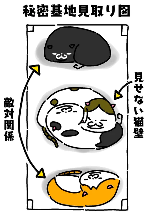 @rerareraLOVE 敵対関係の兄貴分達は端っこに寝てますね‼️その兄貴分達がケンカしないようにしてるのか弟分達は見せない猫壁になって寝てます😂‼️ 
