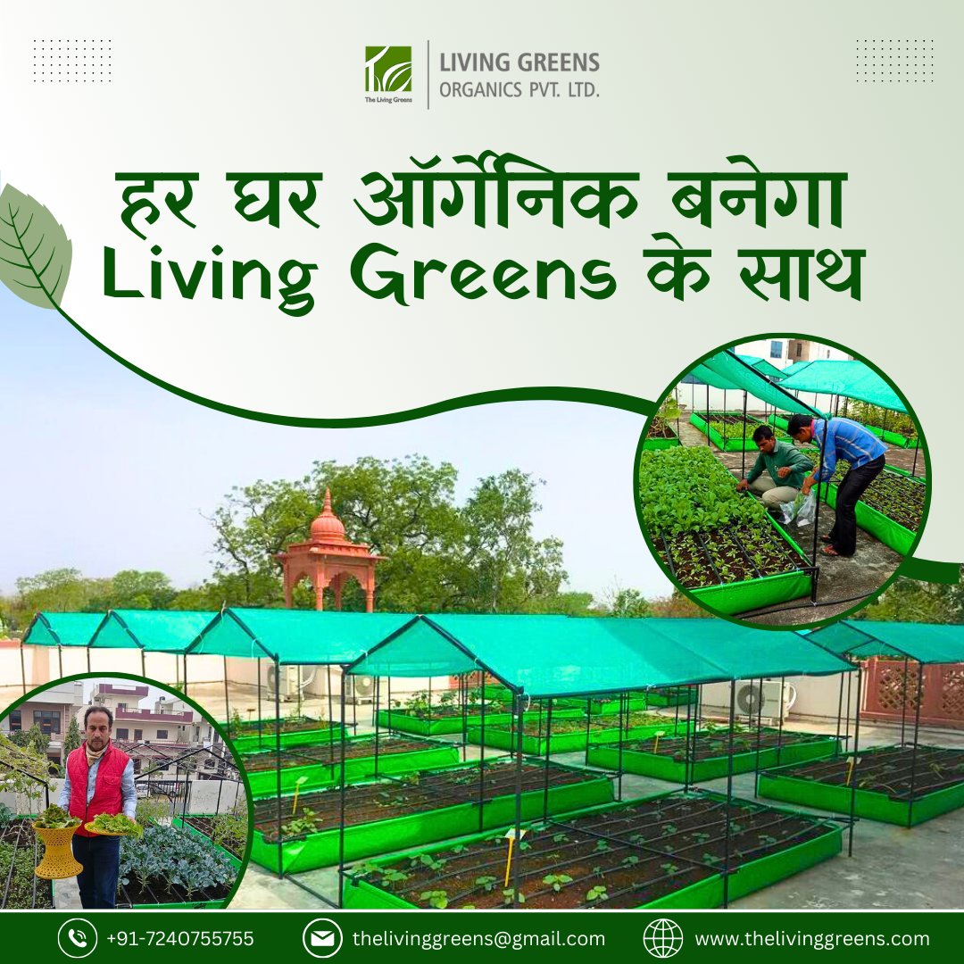 living_greens's tweet photo. Turn Your 'Har Ghar Organic' Dream into Reality with Living Greens' Portable Farming System in Jaipur!
Grow Organic Anywhere, Anytime!
Visit Our Site- https://t.co/lS6faQBI8t
#thelivinggreens #jaipurorganicfarm #urbanorganicfarming #organiceaters #schoolfarming #Urbanfarming https://t.co/DJ6timkM97