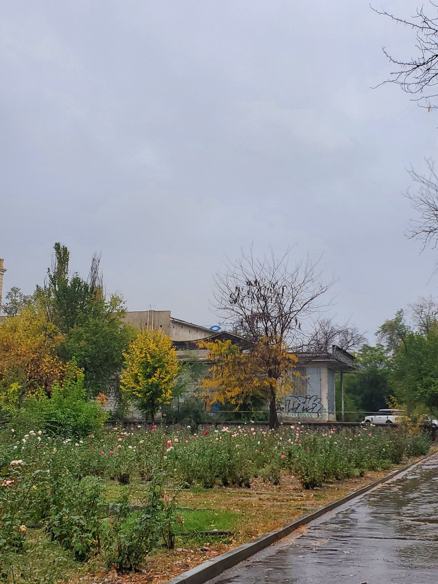 312Planetarium's tweet photo. Саламатсыздарбы 💫 https://t.co/fHirUHTL2m