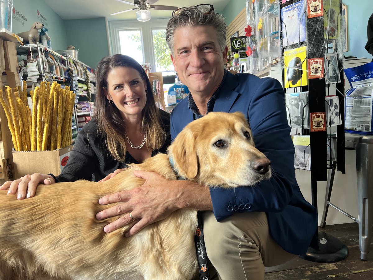 Congratulations to Bentley on finding his forever home! We'll miss you so much, but we're so happy for you and your new family! ❤️
#adopt